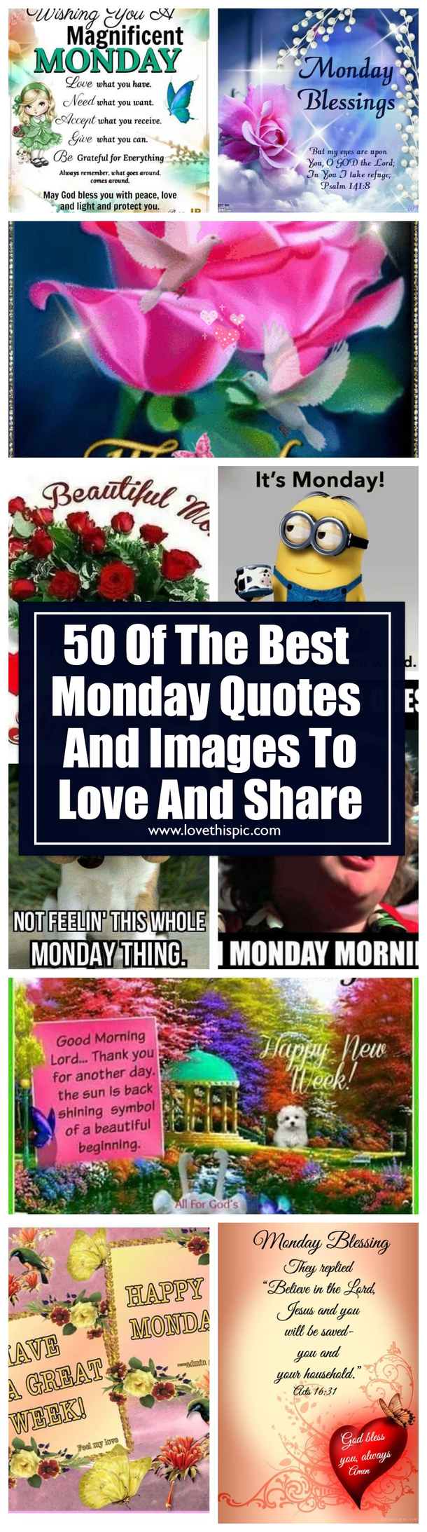 50 Of The Best Monday Quotes And Images To Love And Share - picture 51