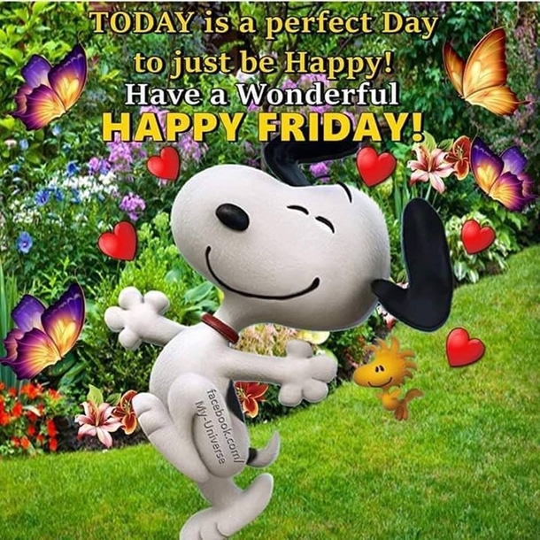 50 Perfect Happy Friday Quotes to Get You Ready for the Weekend! - picture 10