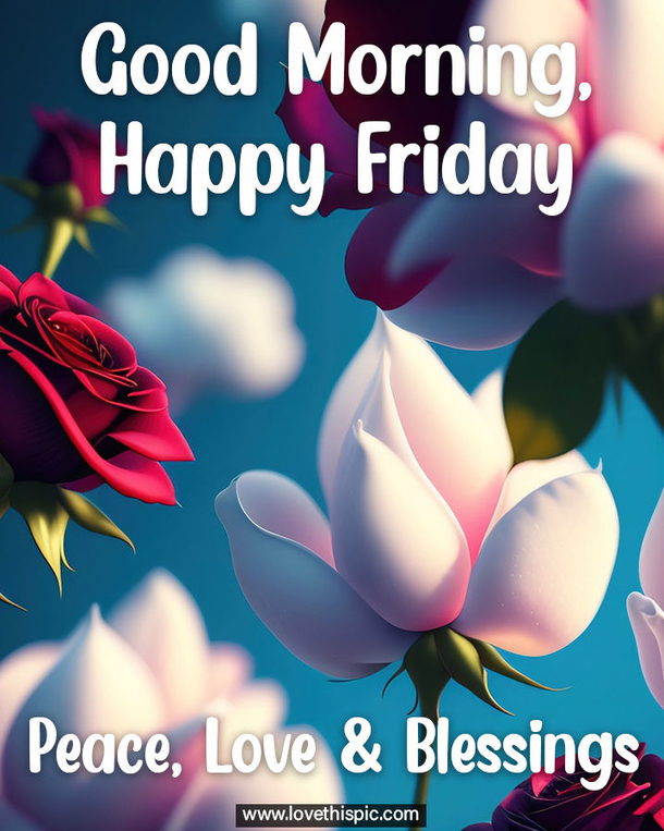 50 Perfect Happy Friday Quotes to Get You Ready for the Weekend! - picture 7