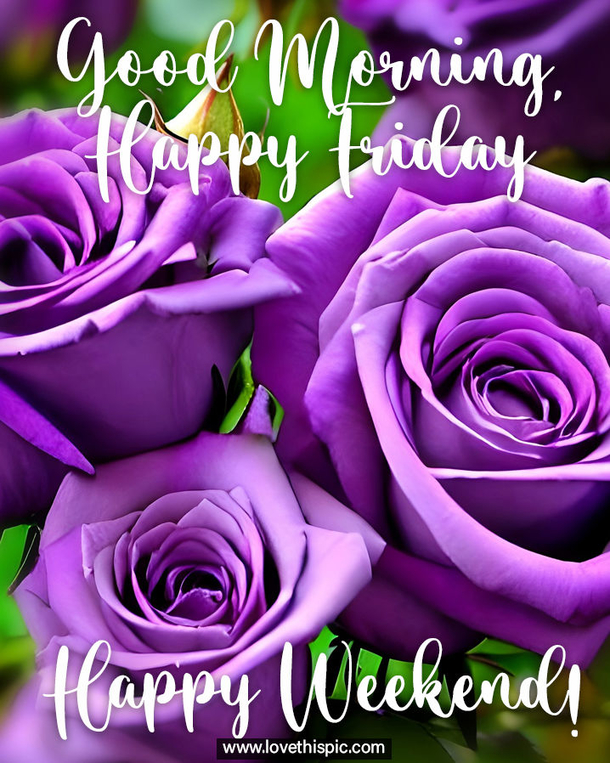 50 Perfect Happy Friday Quotes to Get You Ready for the Weekend! - picture 8