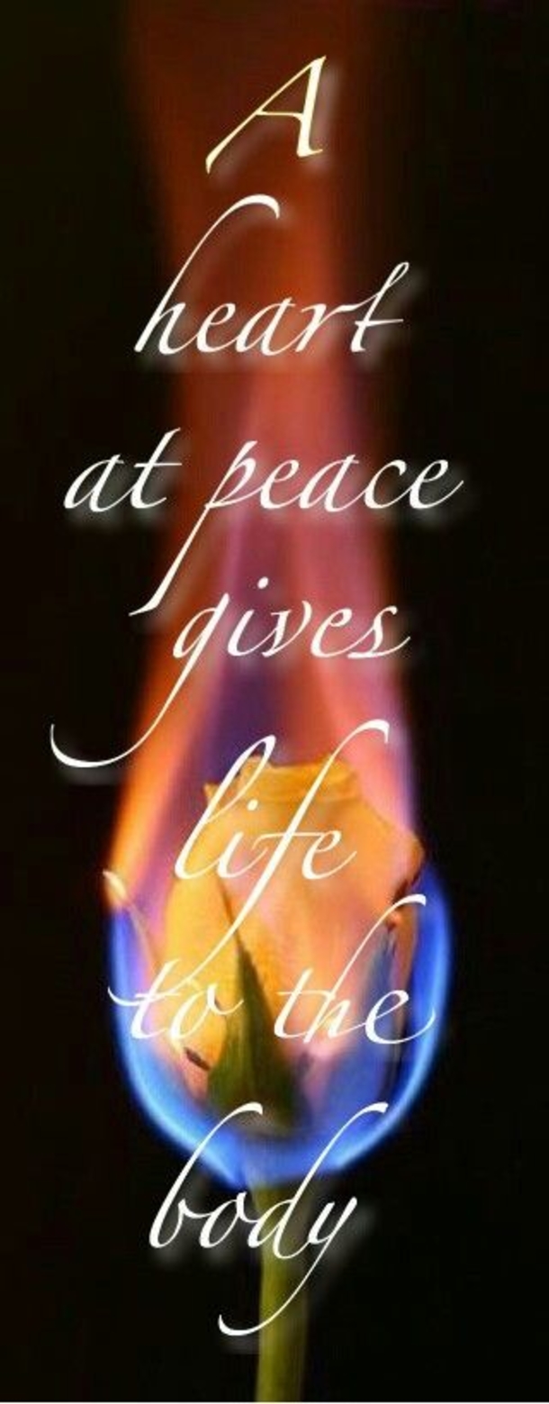 50 Quotes & Sayings To Live By - picture 15