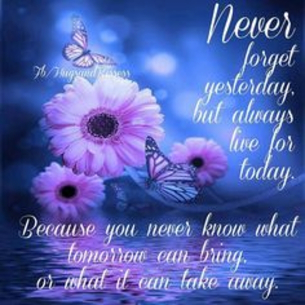 50 Quotes & Sayings To Live By - picture 16