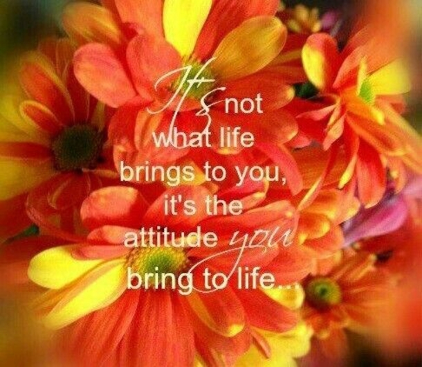 50 Quotes & Sayings To Live By - picture 17