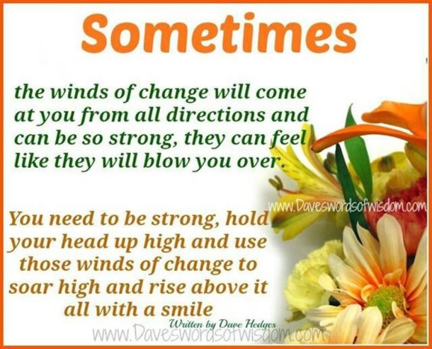 50 Quotes & Sayings To Live By - picture 51
