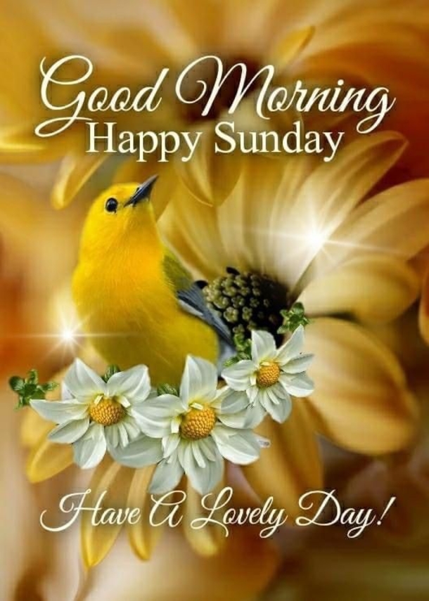 50 Sunday IG Captions, Quotes And Messages For Photos And To Share - picture 4
