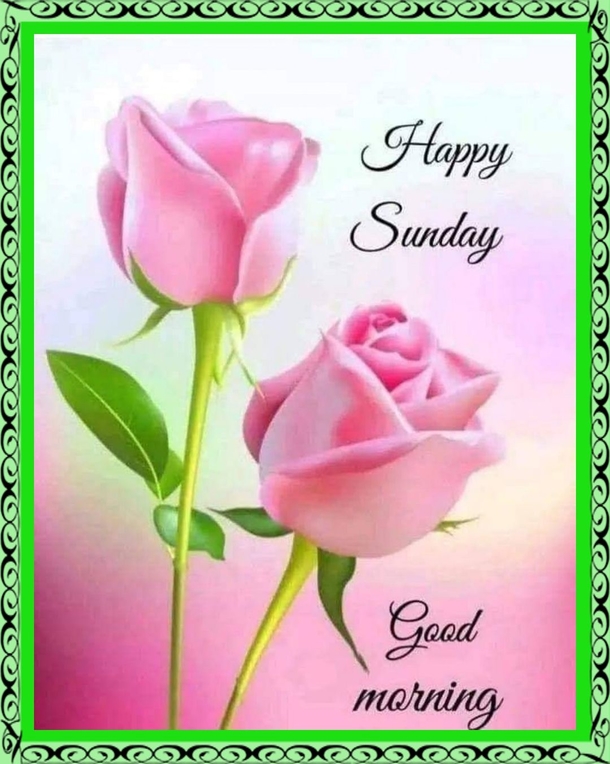 50 Sunday IG Captions, Quotes And Messages For Photos And To Share - picture 5