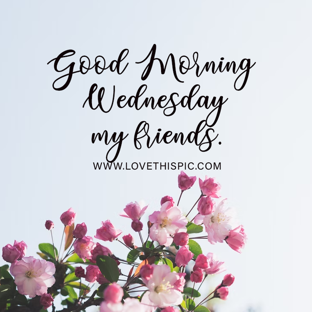 50 Wednesday Messages, Quotes And Wishes To Push Through The Week! - picture 3