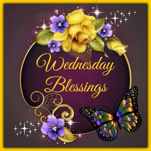 50 Wednesday Messages, Quotes And Wishes To Push Through The Week! - picture 4