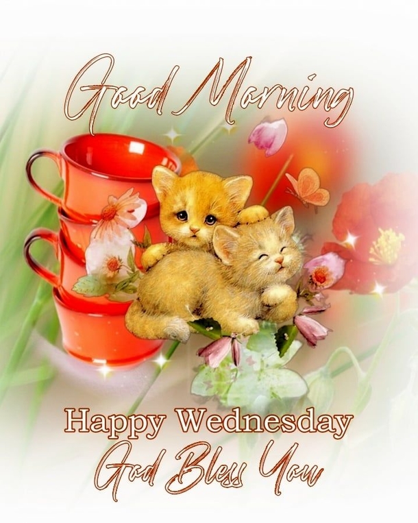 50 Wednesday Messages, Quotes And Wishes To Push Through The Week! - picture 8