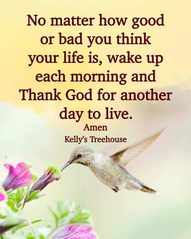 55+ Good Morning Wishes, Messages & Quotes - picture 11