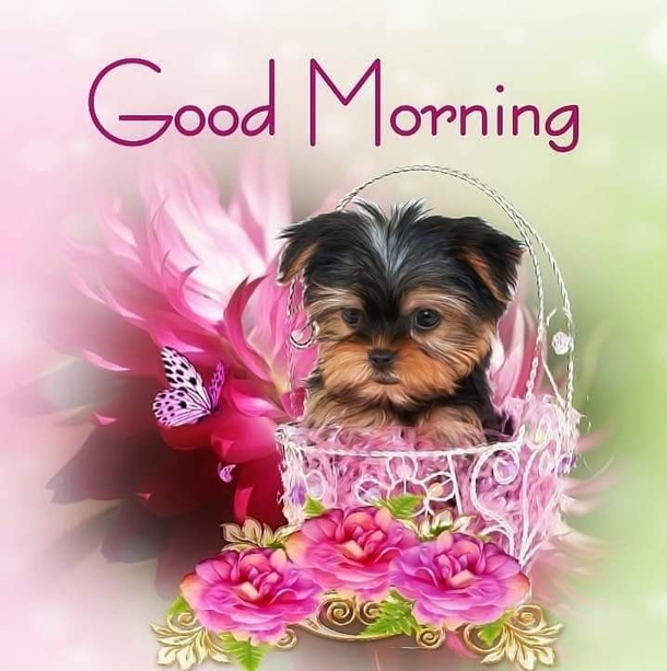 55+ Good Morning Wishes, Messages & Quotes - picture 2