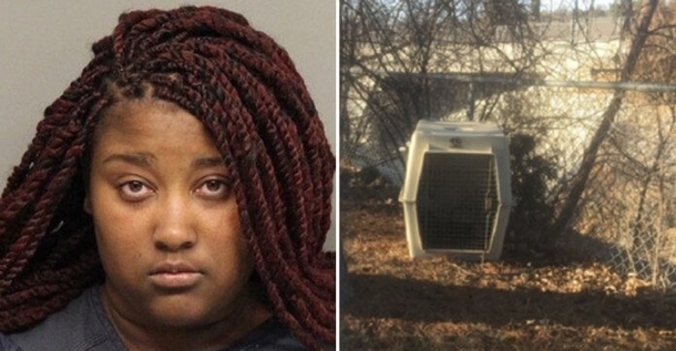 Dog Dies After Owner Got Busy And ‘Forgot’ To Feed It For 3 Weeks - picture 2