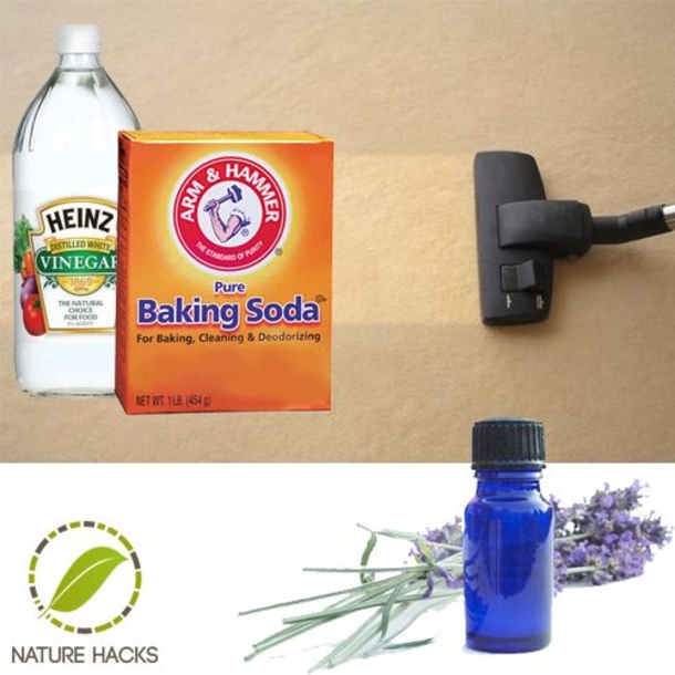 6 Brilliant Cleaning Hacks To Make Your Carpet Look Brand Spanking New - picture 2