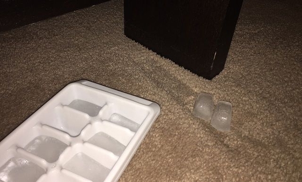 6 Brilliant Cleaning Hacks To Make Your Carpet Look Brand Spanking New - picture 3