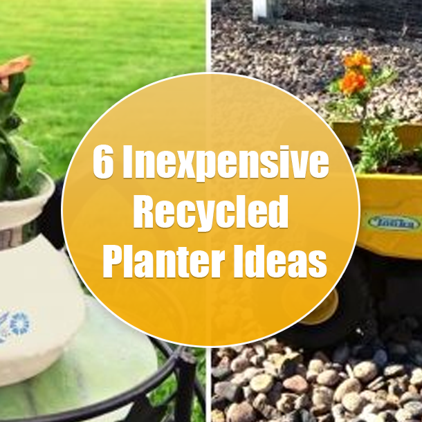 6 Inexpensive Recycled Planter Ideas