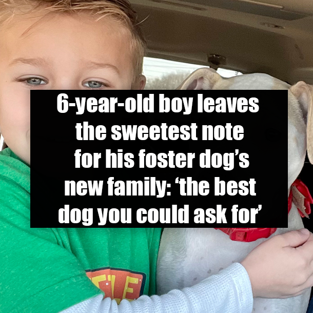 6-year-old boy leaves the sweetest note for his foster dog’s new family: ‘the best dog you could ask for’