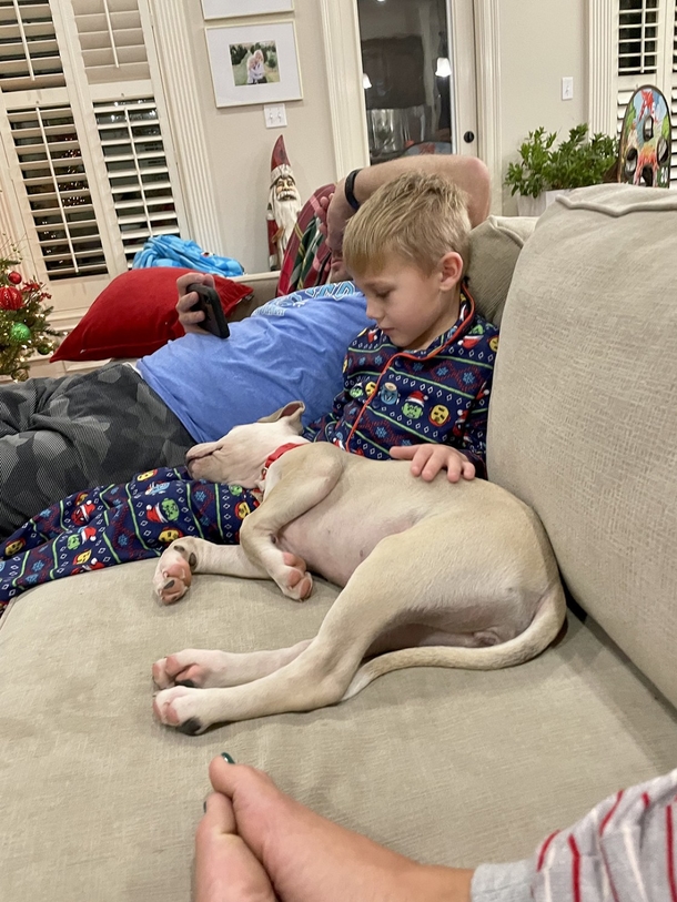 6-year-old boy leaves the sweetest note for his foster dog’s new family: ‘the best dog you could ask for’ - picture 3