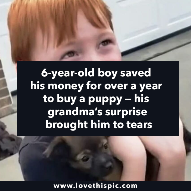 6-year-old boy saved his money for over a year to buy a puppy — his grandma’s surprise brought him to tears