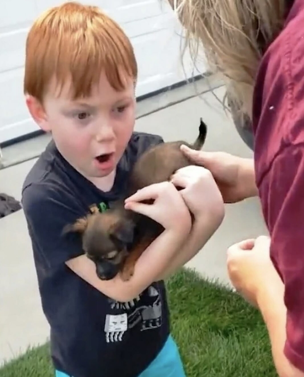 6-year-old boy saved his money for over a year to buy a puppy — his grandma’s surprise brought him to tears - picture 3