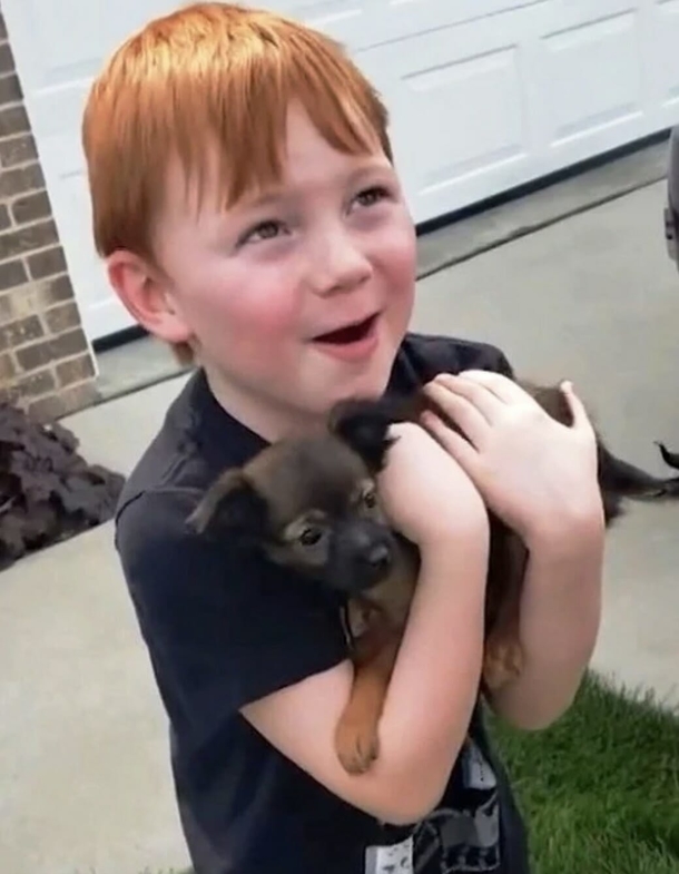 6-year-old boy saved his money for over a year to buy a puppy — his grandma’s surprise brought him to tears - picture 4