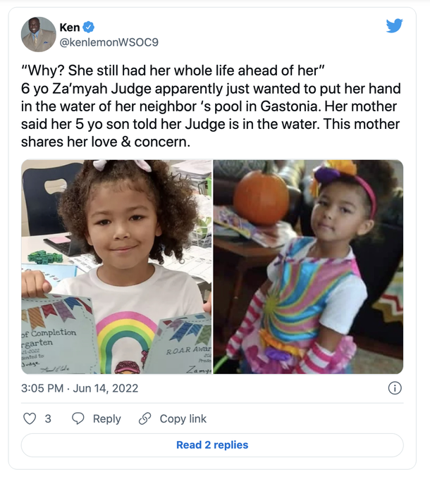 6-year-old girl drowns after sneaking out of home and climbing over neighbor’s locked fence, RIP - picture 2