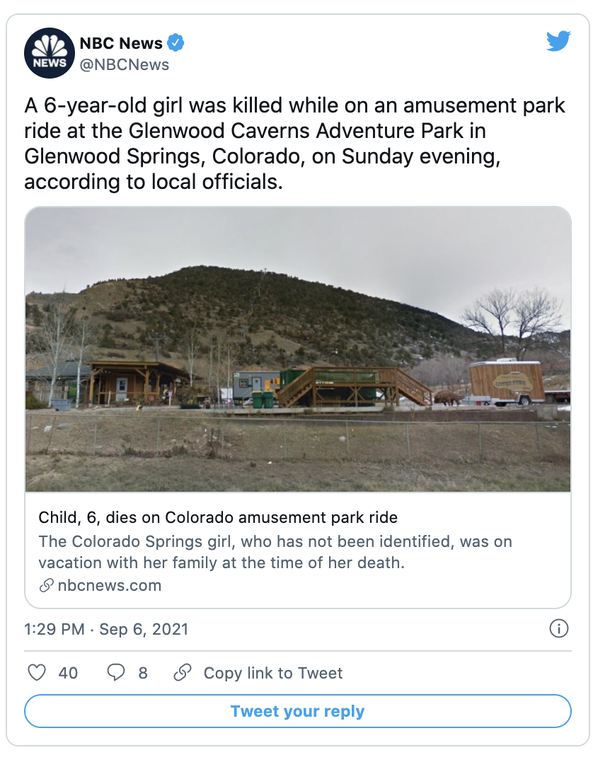 6-year-old killed while on thrill ride at amusement park – RIP - picture 2