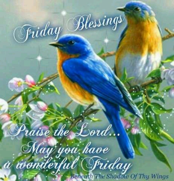 60 Friday Blessing Quotes And Sayings - picture 46