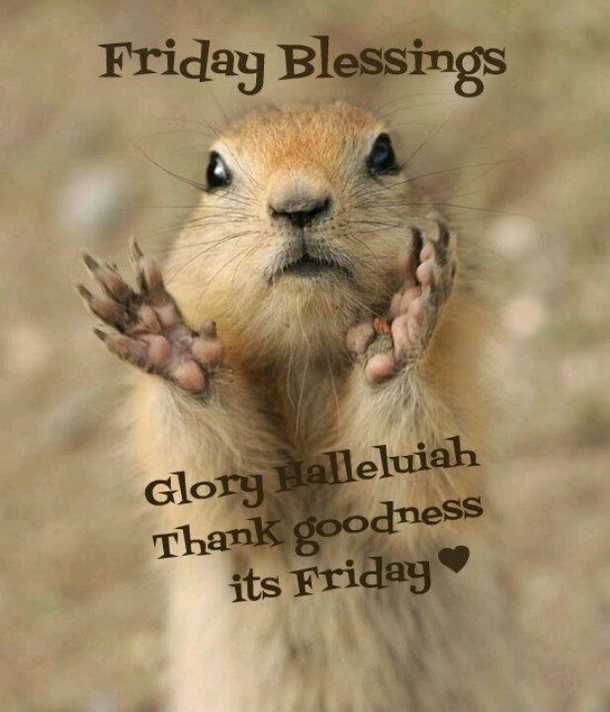 60 Friday Blessing Quotes And Sayings - picture 55