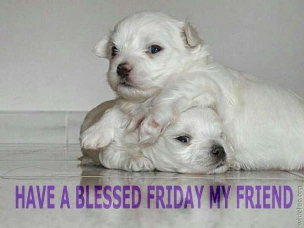 60 Friday Blessing Quotes And Sayings - picture 56