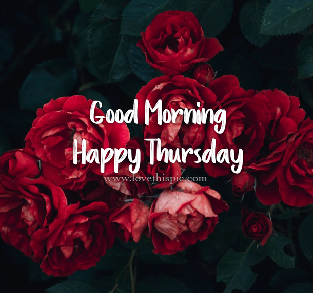 60 Thursday Captions, Quotes, Messages And Blessings - picture 3