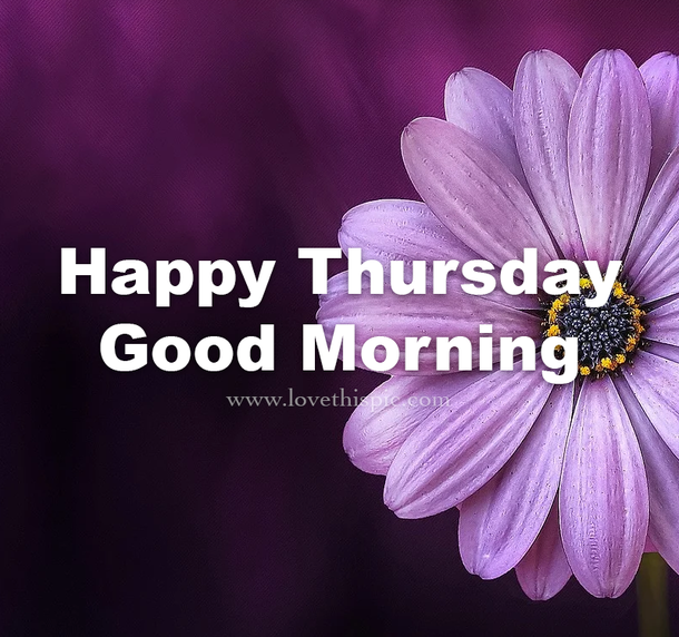 60 Thursday Captions, Quotes, Messages And Blessings - picture 6