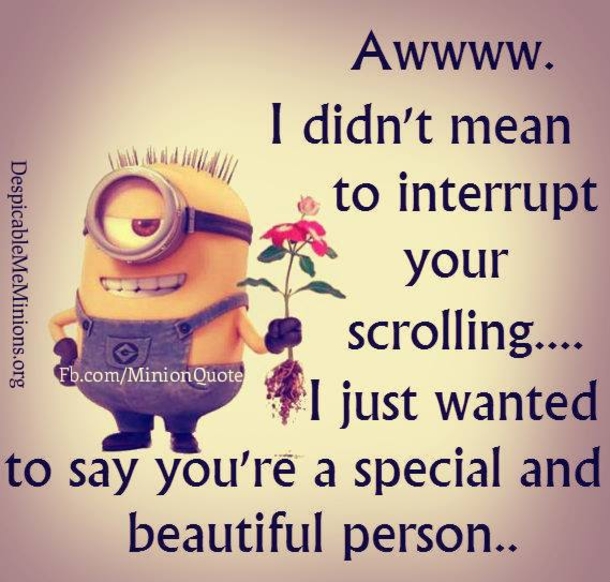 60 Valentine's Day Minion Quotes About Love - picture 42