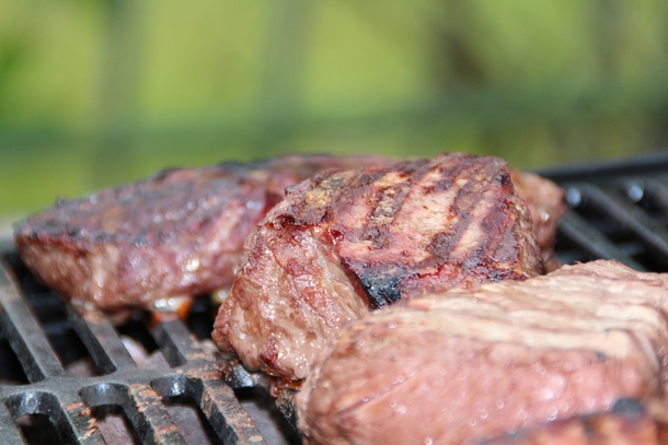 62,000 Pounds Of Raw Beef Has Just Been Recalled Due To Deadly E. Coli Outbreak - picture 4