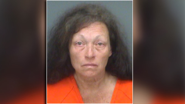 62-Year-Old Mom Arrested After Police Discover What 6-Year-Old Did To Baby While She Was Gone - picture 2