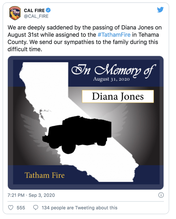 63-Year-Old volunteer firefighter, lost her life working alongside son fighting California wildfires - picture 3