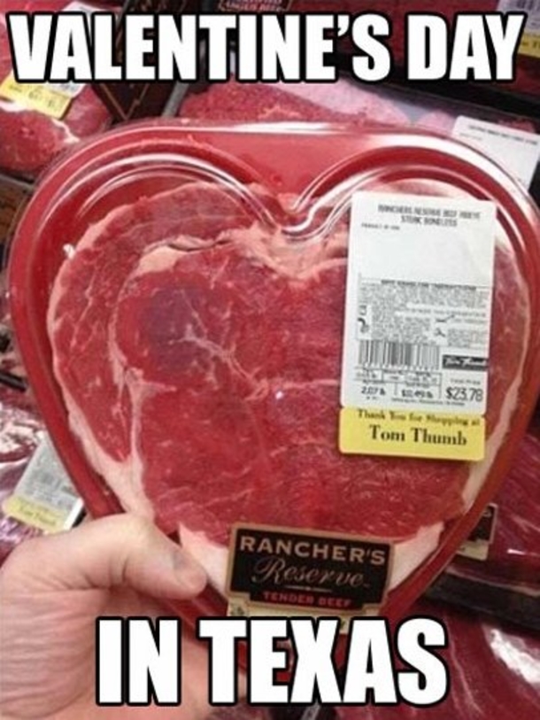 65 Funny Valentines Day Memes - picture 10