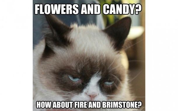 65 Funny Valentines Day Memes - picture 33