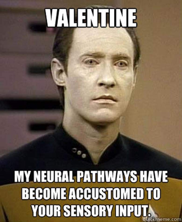 65 Funny Valentines Day Memes - picture 37