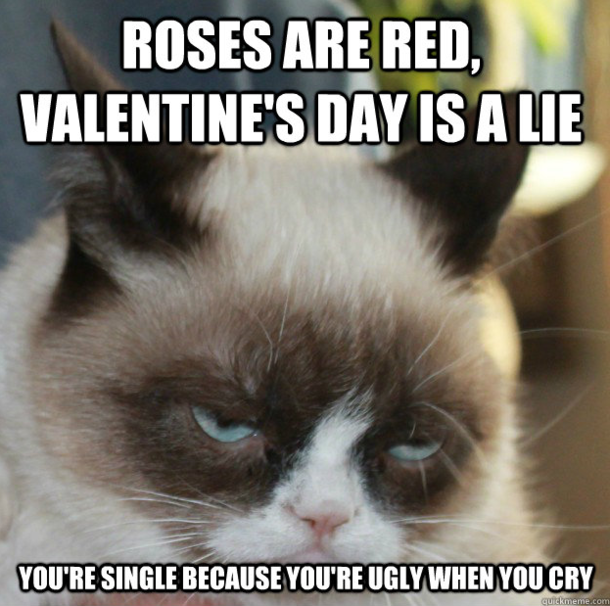 65 Funny Valentines Day Memes - picture 39