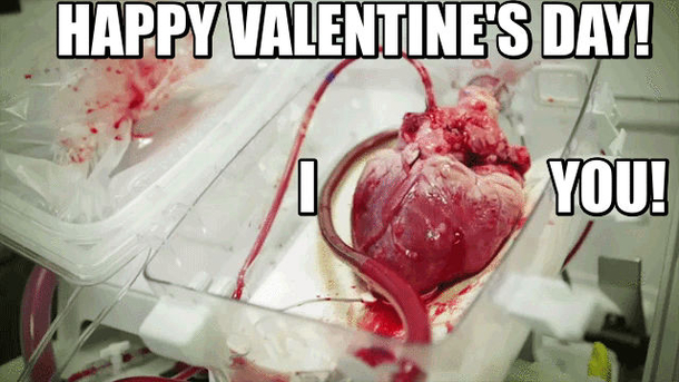 65 Funny Valentines Day Memes - picture 42