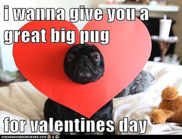 65 Funny Valentines Day Memes - picture 5