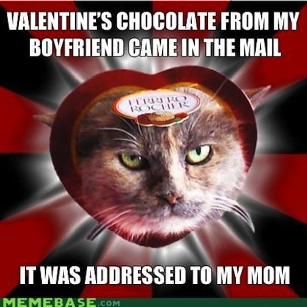 65 Funny Valentines Day Memes - picture 51