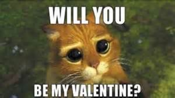 65 Funny Valentines Day Memes - picture 53