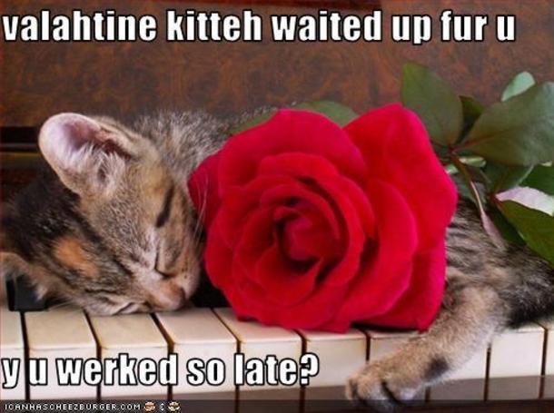 65 Funny Valentines Day Memes - picture 63