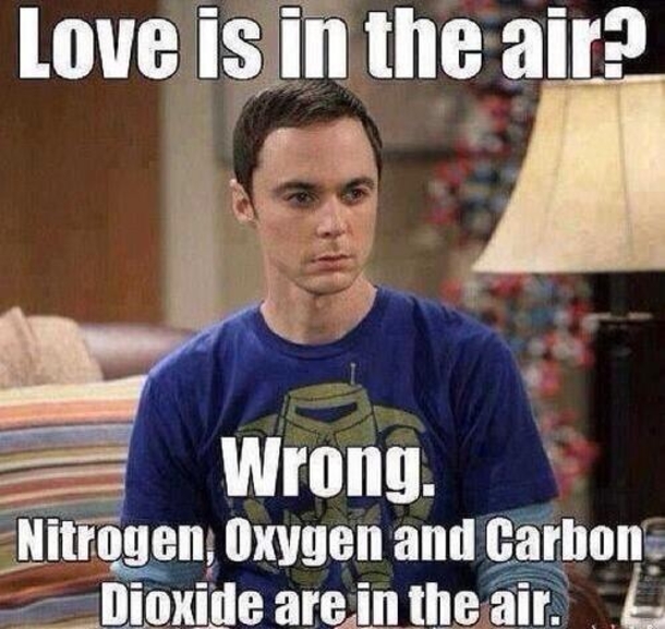 65 Funny Valentines Day Memes - picture 9
