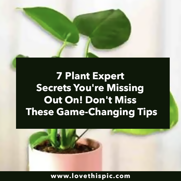 7 Plant Expert Secrets You're Missing Out On! Don't Miss These Game-Changing Tips