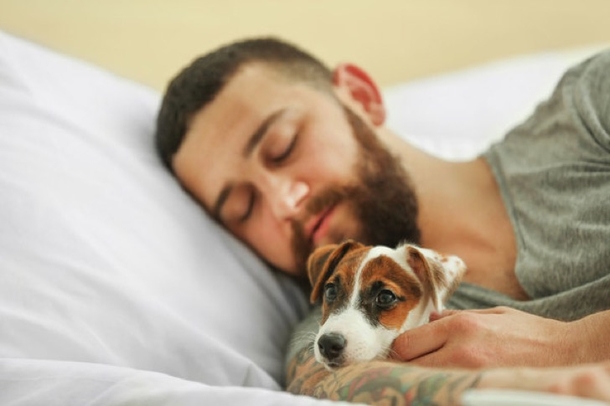 7 Surprising Reasons Your Dog Should Sleep On Your Bed With You Every Night - picture 2