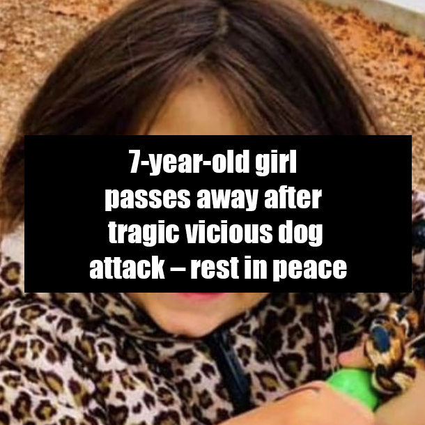 7-year-old girl passes away after tragic vicious dog attack – rest in peace