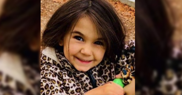 7-year-old girl passes away after tragic vicious dog attack – rest in peace - picture 2