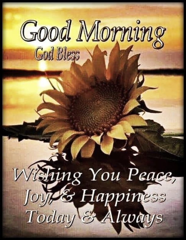 70+ Beautifully Inspiring Good Morning Quotes That You'll Absolutely Love! - picture 71